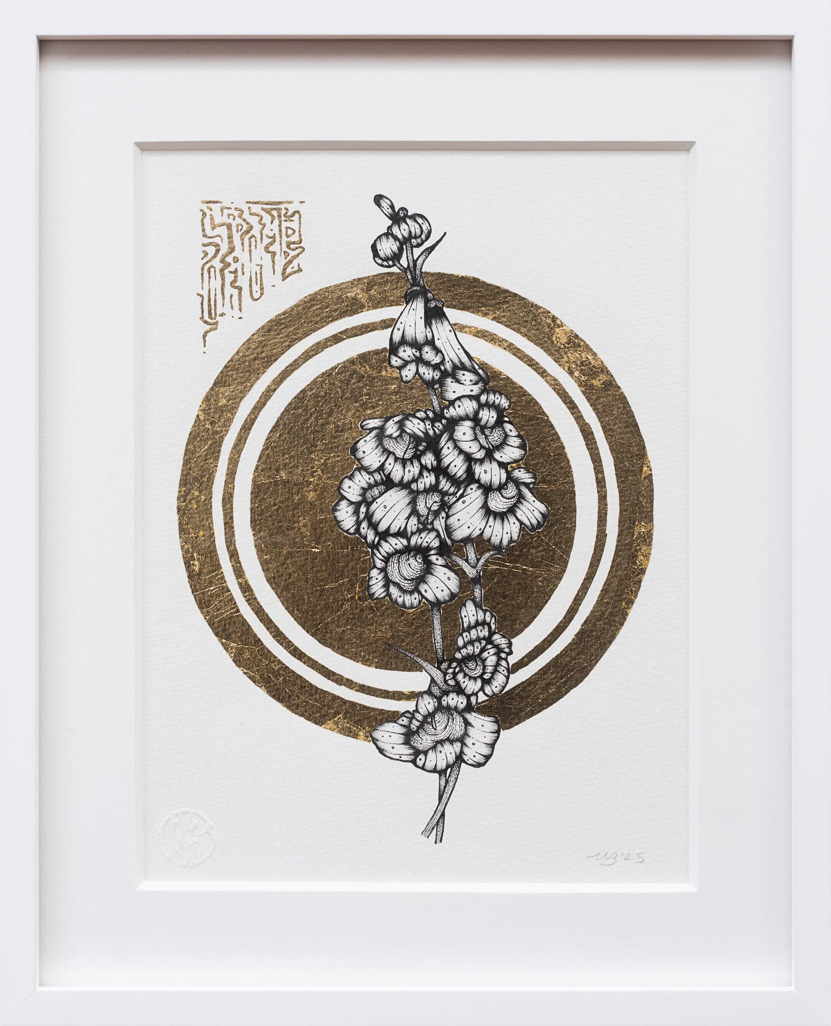 whit boucher, penstemon, a single-specimen botanical portrait in ink and gold leaf