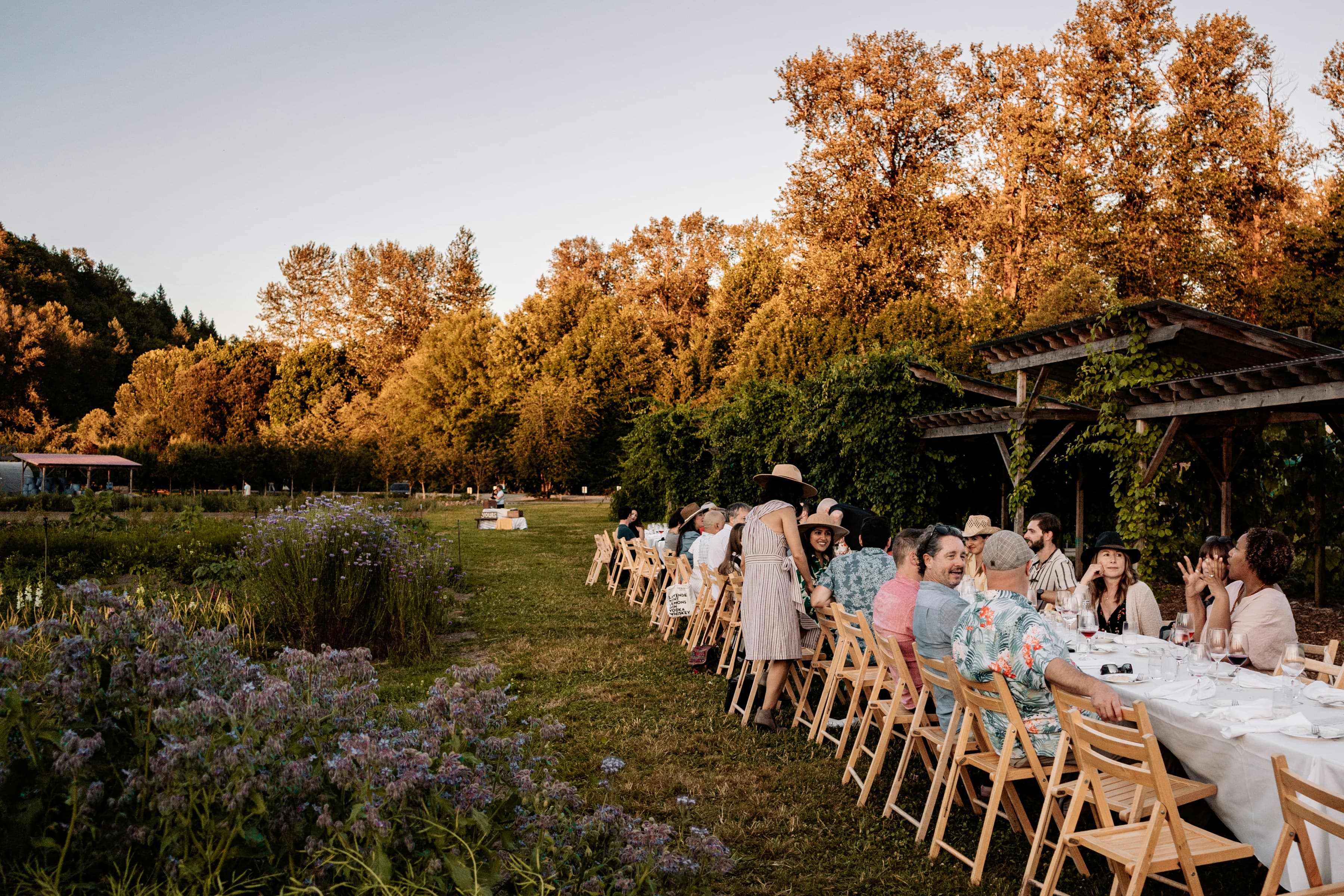 one very long table running away across a meadow at low sun, about thirty guests