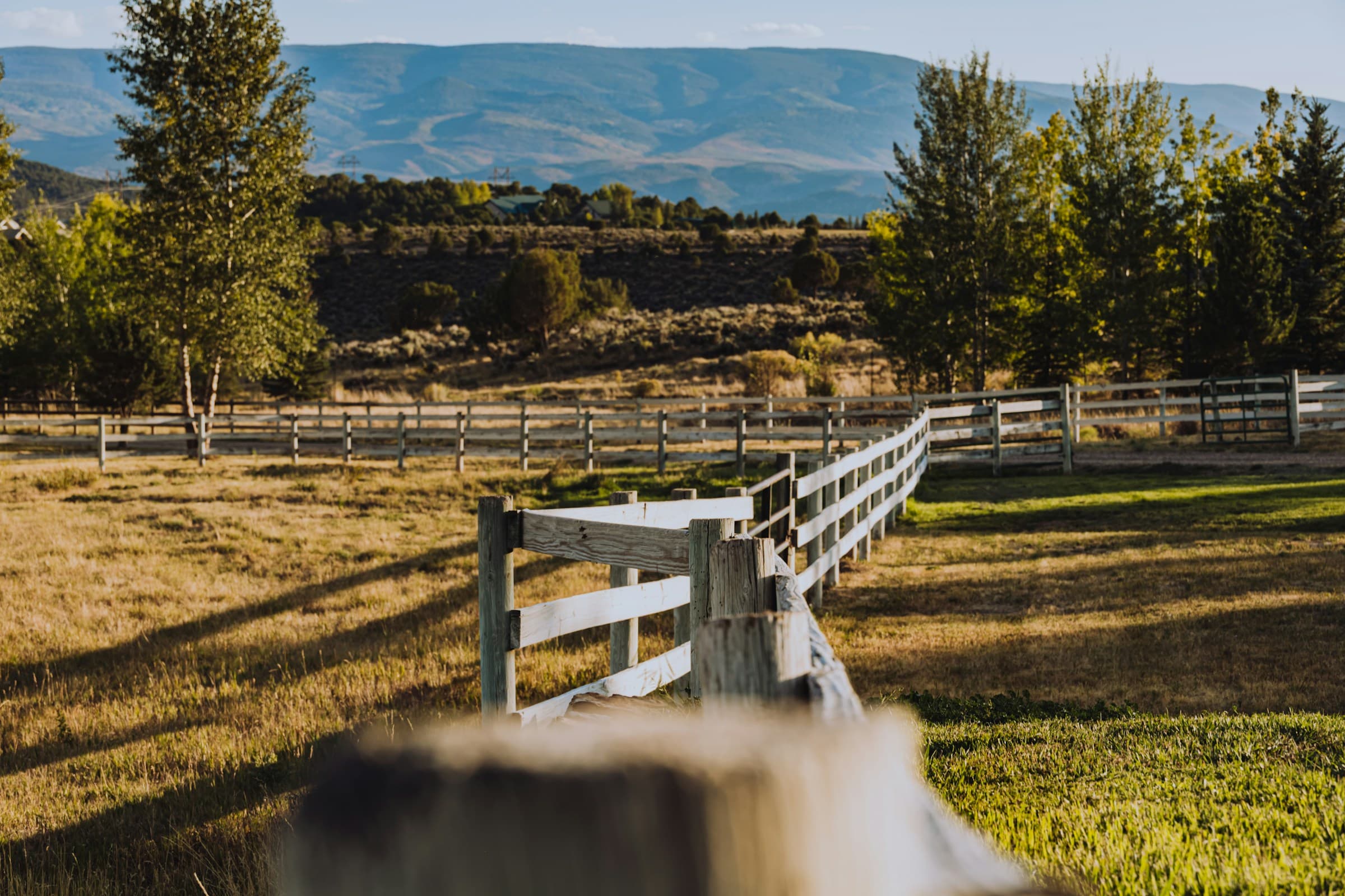 a white three-rail ranch fence through gold grass, long shadows, dark foothills